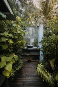 Zahrada ubytování L'incroyable maison de Mamie MECHANT