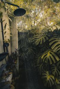 Zahrada ubytování L'incroyable maison de Mamie MECHANT