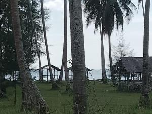 a bridge in the middle of a forest of palm trees at Bunda Homestay and Garden Warung 