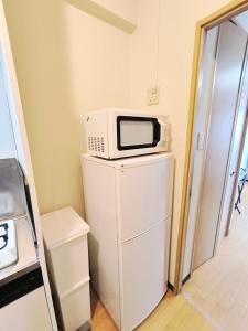 a microwave sitting on top of a refrigerator at 鹿鳴黄金1 in Nagoya