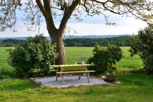 a bench sitting under a tree next to a field at Petit Paris in Kergrist
