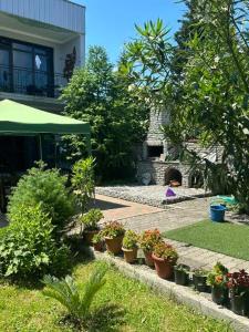Giardino di ALEX'S HOUSE