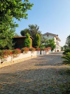Κήπος έξω από το B&B La Terrazza di Frascati