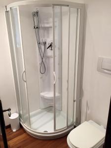 a shower stall in a bathroom with a toilet at Villa Rossa in Cavaion Veronese
