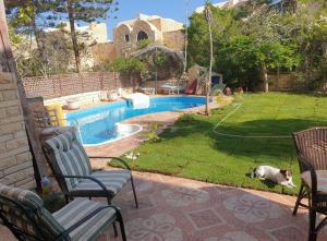 a dog laying in the grass next to a swimming pool at Sou Villa in El Alamein +16 photos