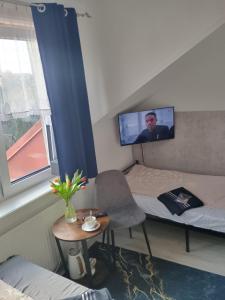 a small room with a bed and a tv on the wall at White House - pokoje gościnne in Radom