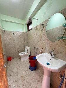 a bathroom with a sink and a mirror and a toilet at Happy Heaven Guesthouse, Chojh in Kasol
