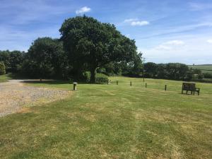 a park with a bench in the middle of a field at Lower Shippen - 23493 in North Petherwin +5 photos