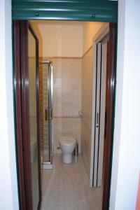 a bathroom with a toilet and a walk in shower at Villa La Mulinella in Preturo