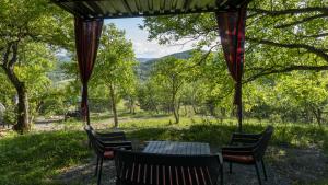 a table and chairs with a view of a forest at Pinehouse Urtkhva in Surami in Bugaura