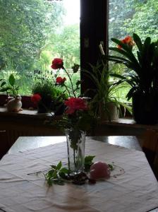 a vase of flowers on a table with a window at Reiterlandhof in Neukirchen