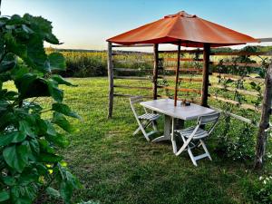 einen Tisch und Stühle unter einem Schirm auf einem Feld in der Unterkunft Chalets des prés-village in Bussy-le Repos + 8 Fotos