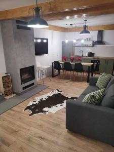Televízia a/alebo spoločenská miestnosť v ubytovaní Apartament NA PIĘTERKU