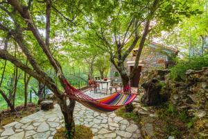 a hammock hanging from a tree in a yard at Pine Forest Chalet 1400m, Cinema & Fireplace in Artemisía