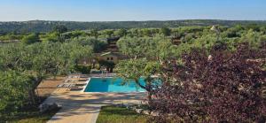 an overhead view of a swimming pool in a garden at TRULLO MALVISCHI - Privacy & Pool in Alberobello