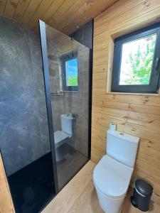 ein kleines Badezimmer mit Toilette und Dusche in der Unterkunft глемпінг Обійми in Yatski + 13 Fotos