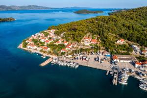 an aerial view of a small island in the water at Tramontana Iž in Veli Iž