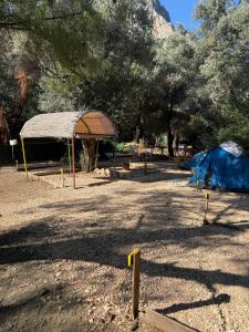 a camping area with a tent and some trees at Lilith Pan Camping in Fethiye