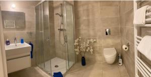 Afbeelding uit fotogalerij van Studio 25 m2 Tour Black Swans Centre ville Tram C et E direct Parlement Européen à 15 minutes Arrivée 24 sur 24 in Straatsburg