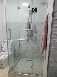Un baño con ducha de cristal con inodoro. en One Global Family Guest House Samarkand II, en Samarkand