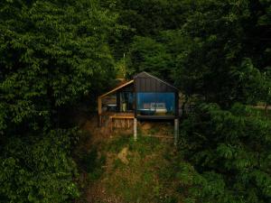 a glass house in the middle of a forest at ForestView 1- Romantic Cabin for 2 in Fuereşti +4 photos
