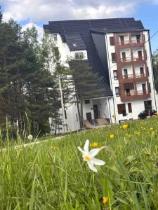 Vườn quanh Apartman Kala Divčibare