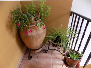 Fotografie z fotogalerie ubytování Apartamentos Casa Ferrás v destinaci Valderrobres