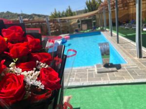 a vase of red roses next to a swimming pool at شاليهات تلال اشتفينا in Ajloun