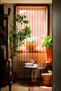 Hotel Kerala italokat is kínál