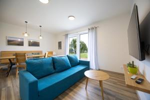 TV a/nebo společenská místnost v ubytování Apartmány u Josífka Velké Losiny
