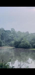 Fotografie z fotogalerie ubytování Anya Retreats Nature Homestay v destinaci Kushalnagar