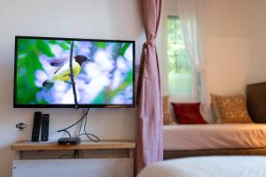 Televízia a/alebo spoločenská miestnosť v ubytovaní Sunbird Apartman Budapest