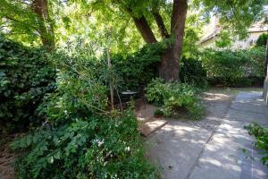 Vonkajšia záhrada v ubytovaní Sunbird Apartman Budapest