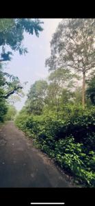 Fotografie z fotogalerie ubytování Anya Retreats Nature Homestay v destinaci Kushalnagar