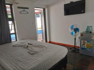 a bedroom with a bed and a fan and a television at Duminy Lodge Monthly Rentals in Bellville