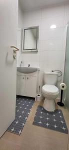 a bathroom with a toilet and a sink at Pension Wolf in Gersdorf