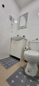 a bathroom with a toilet and a sink and a mirror at Pension Wolf in Gersdorf