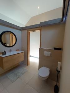 a bathroom with a sink and a toilet and a mirror at Auprès de mon arbre in Gros-Fays