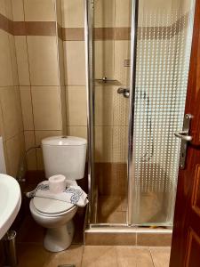 a bathroom with a toilet and a shower at Hotel Magnolia in Loutra Edipsou +22 photos