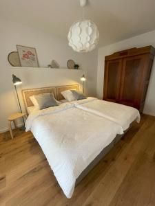 a bedroom with a large white bed with a chandelier at Haus Ludwig in Bad Schonborn