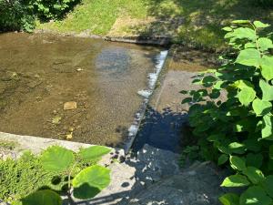 a stream of water in a field with plants at Malinowa Dolina in Wisła