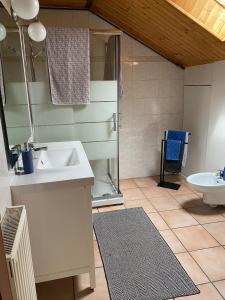 a bathroom with a sink and a shower and a toilet at La Mansarda in Feltre