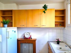 Kuchyň nebo kuchyňský kout v ubytování Grand appartement + 52 fotografií