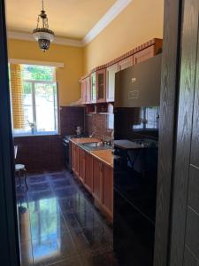 Kuchyň nebo kuchyňský kout v ubytování Guesthouse Mtsvane Koncxi 22
