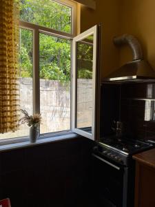Kuchyň nebo kuchyňský kout v ubytování Guesthouse Mtsvane Koncxi 22