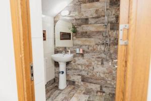 a bathroom with a sink and a shower at Casa BOBO in Baia de Fier +27 photos