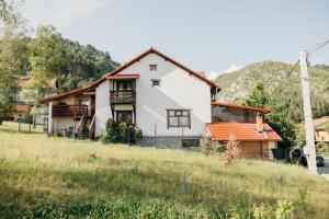 a large white house in a field next to a hill at Casa BOBO in Baia de Fier