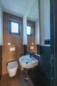 a bathroom with a sink and a toilet at Vila Natalijina Ramonda in Banja Luka