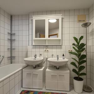 マルクドルフにあるSTAYS Gehrenberg am Bodenseeのバスルーム(シンク2つ、鏡、鉢植えの植物付)