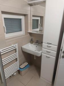 Koupelna v ubytování Apartmani Pavic
